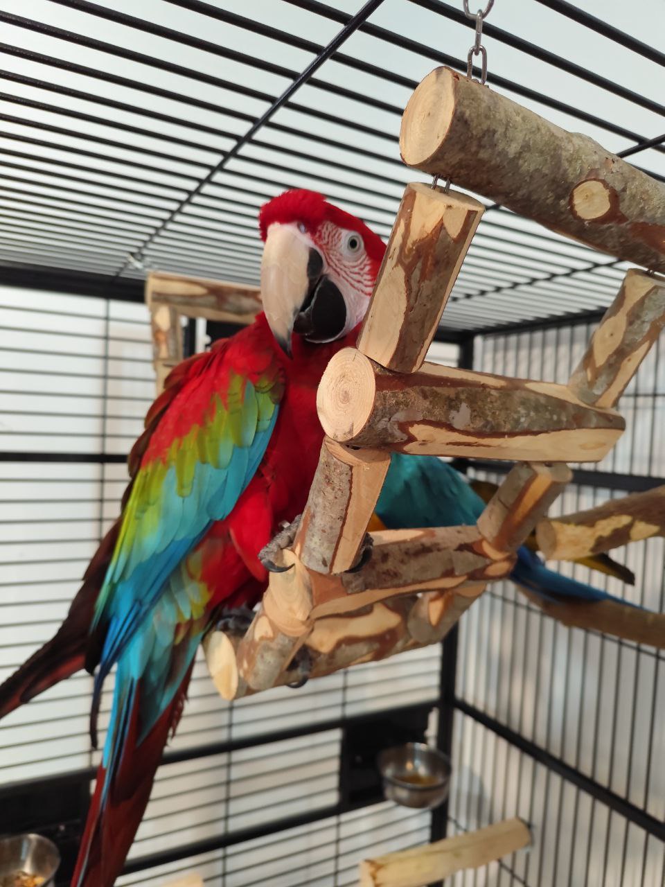 photo_6050587495696633897_y