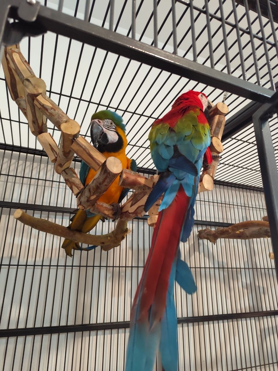 photo_6050587495696633898_y