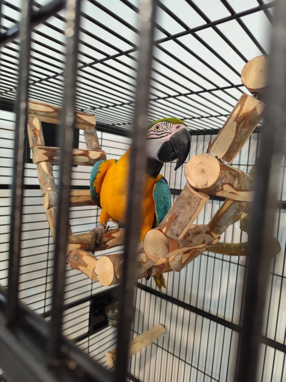 photo_6050587495696633899_y